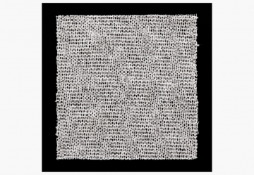 L'acido ialuronico e  l'Argento nel trattamento delle ferite