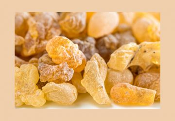 La Boswellia Serrata: Una pianta con provata attività antinfiammatoria