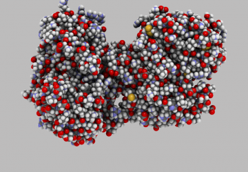 La Lattoferrina: a cosa serve e come si assume