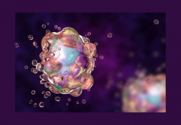 L'Apoptosi Cellulare: significato ed importanza nella salute e nella malattia