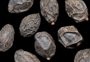 La Serenoa repens: FAQ