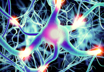 Neuropatia periferica e dolore neuropatico: nuove terapie