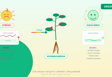 Come abbassare il cortisolo alto