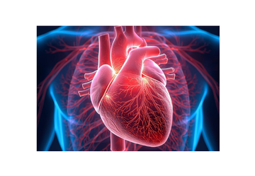 Magnesio Taurato Zreen: cos'è, benefici e perché sceglierlo