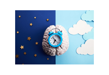 Melatonina e Ritmo Circadiano: la Guida Scientifica Completa