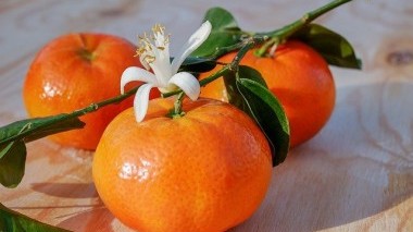 Vitamina C: a cosa serve e come assumerla