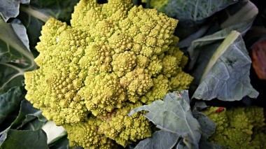 Che cos'è la vitamina K?