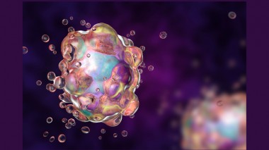 L'Apoptosi Cellulare: significato ed importanza nella salute e nella malattia