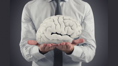 La Colina Alfoscerato e la salute cerebrale