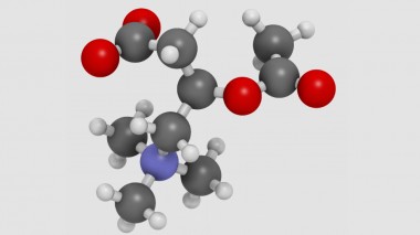 L'acetilcarnitina