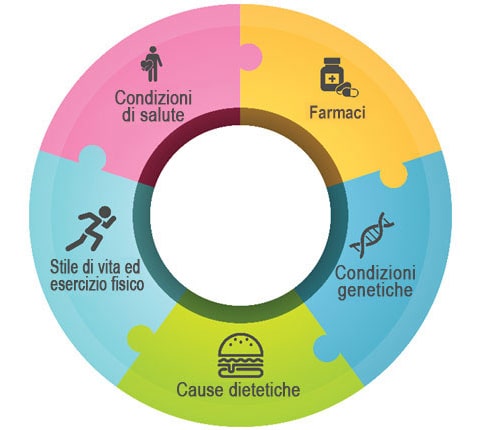 I prodotti ArmoLIPID aiutano a regolare i livelli di colesterolo